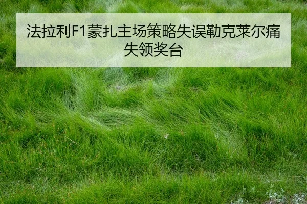 fa-la-li-meng-zha-zhu-chang-ce-lve-shi-wu-lei-ke-lai-er-tong-shi-ling-jiang-tai-2-625.jpg