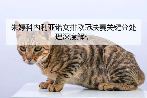 zhu-ting-ke-nei-li-ya-nuo-nv-pai-ou-guan-jue-sai-guan-jian-fen-chu-li-shen-du-jie-xi-2-733.jpg