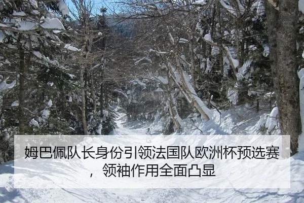 姆巴佩队长身份引领法国队欧洲杯预选赛，领袖作用全面凸显