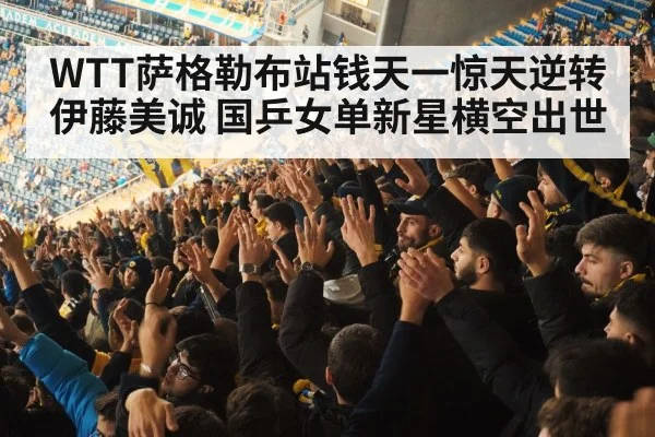 crowd cheering at sports event