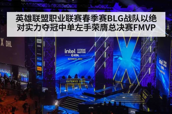英雄联盟职业联赛春季赛BLG战队以绝对实力夺冠中单左手荣膺总决赛FMVP